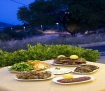 Ταβέρνα – Το Έλατο – Χασιά – 20€ από 45€ (Έκπτωση 56%) για Πλήρες Γεύμα 2 Ατόμων στη Χασιά με παραδοσιακές γεύσεις στην Ταβέρνα «Το Έλατο»! Κάθε Σάββατο βράδυ και Κυριακή μεσημέρι διασκεδάστε με Ζωντανή Μουσική και απολαύστε ένα πλούσιο δείπνο με τις ομορφότερες εικόνες που γεμίζουν τη ματιά κάθε επισκέπτη με θέα το βουνό της Πάρνηθας!!!